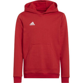 Adidas ENTRADA 22 Young Adults Hoodie