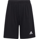 Adidas ENTRADA 22 Young Adults Shorts