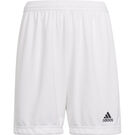 Adidas ENTRADA 22 Youth Shorts
